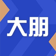 乐清市大朋电子有限公司