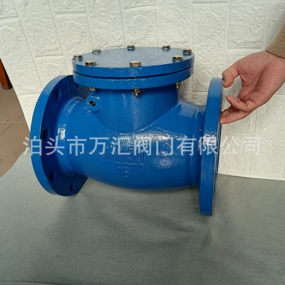 国标英标旋启式止回阀 H44T德标日标美标铸铁硬密封升降式止回阀图4