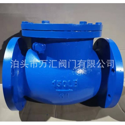国标英标旋启式止回阀 H44T德标日标美标铸铁硬密封升降式止回阀图3