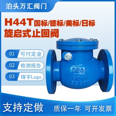 国标英标旋启式止回阀 H44T德标日标美标铸铁硬密封升降式止回阀图2