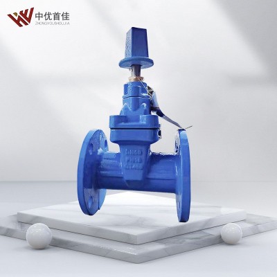 良精佳福斯江一盾安精嘉瓦特斯RVCX地埋式弹性座封地下闸阀门图4