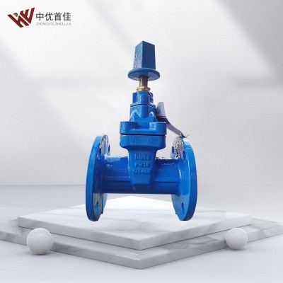 良精佳福斯江一盾安精嘉瓦特斯RVCX地埋式弹性座封地下闸阀门图2