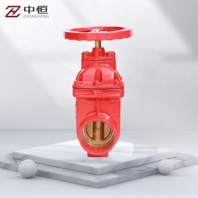 沃茨塘沽瓦斯特佳福斯中核苏阀Z85X-16T沟槽铜芯防护闸阀门图2