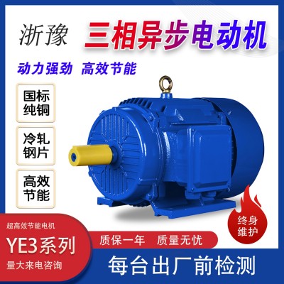 正品保障高效YE4马达 三相2级能效电动机全铜0.75kw-315kw电机图4