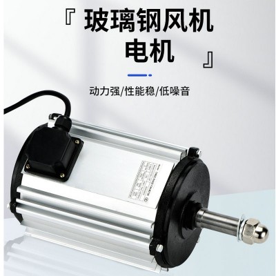 玻璃钢风机电机供应微型三相异步电机可定 制高转速玻璃钢电机图2