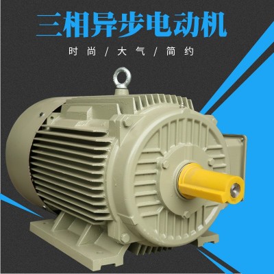 昆明品典三相异步电动机YE2-180L-4多规格多种类厂家现货电动机图2