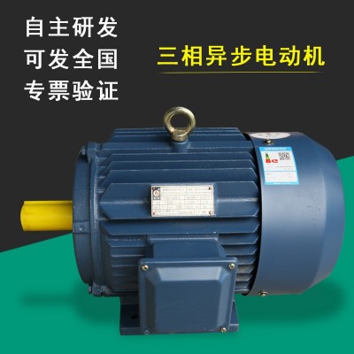 YE2-132铜机芯电动机各类机械设备适用多型号厂家三相异步电动机图2