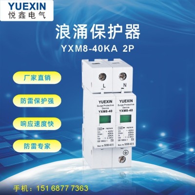 悦鑫YXM8-20KA-2P家用防雷器 电源 电涌保护器 防雷模块