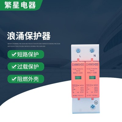 SPD浪涌保护器2P/60KA家用防雷等电位过接 避雷器40KA电涌保护器图2