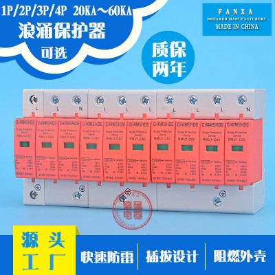 SPD浪涌保护器2P/60KA家用防雷等电位过接 避雷器40KA电涌保护器图3