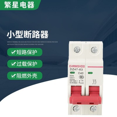 DZ47-63/2P小型断路器 家用空气开关 C45 32a 16a 短路过载保护图2