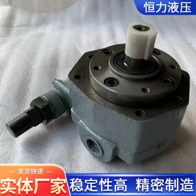 BB-BY型摆线齿轮泵大流量齿轮润滑泵外置式双向摆线齿轮油泵图2