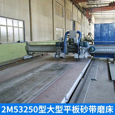 重庆丹智磨床平面砂带抛光机砂带磨床 大型复合板板砂带磨床图3