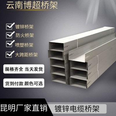 厂家直供瑞丽桥架 瑞丽电缆桥架 瑞丽镀锌桥架厂图4