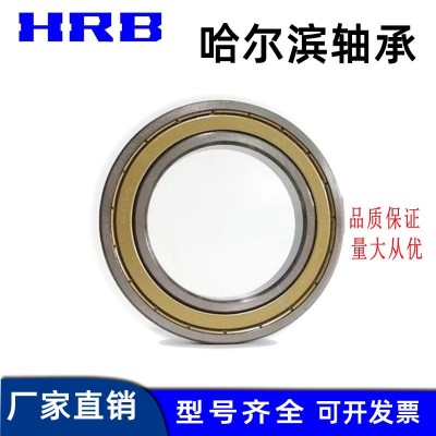哈尔滨高精密轴承 6200 6201 6202 6203 6204 6205 6206 -2 RZ -2Z图2