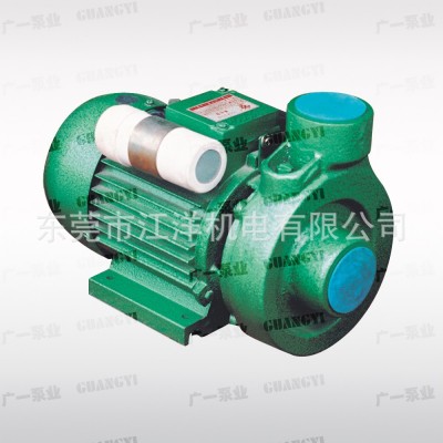 正品供应广州广一博斯普1DK-201.5DK-20型清水泵家用增压泵图2
