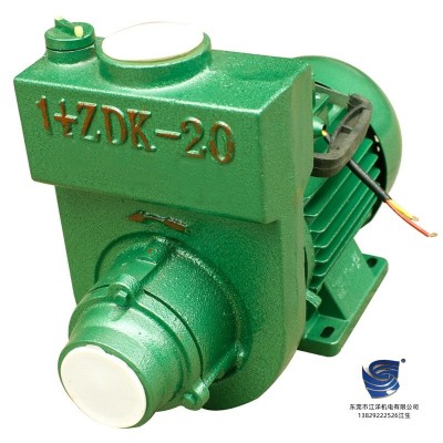 广州广一JET自吸式射流泵JET-100大头泵家用泵1DBZ/1.5ZDK自吸泵