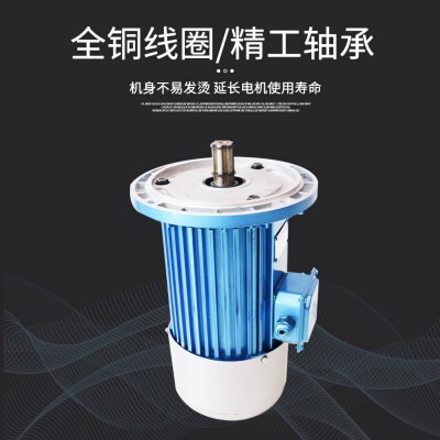 南京总厂电机YSE90L-4 1.5KW软启动电机300LD轮 YSE100L -4 2.2KW图5