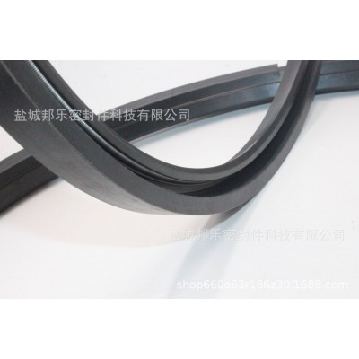 FKM NBR丁腈氟胶骨架油封 全氟醚FFKM油封端盖闷盖TC EC VK图2