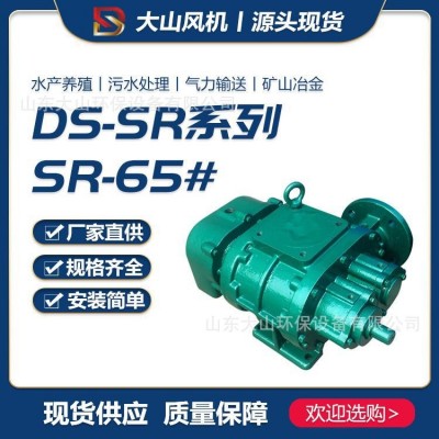 SR65罗茨鼓风机鱼塘养殖增氧机污水处理曝气机脱硫氧化风机真空泵1台图2