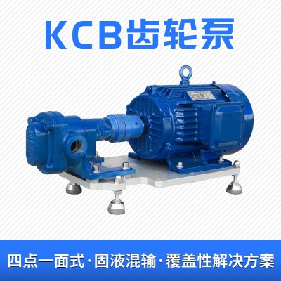 供应 KCB-18.3小齿轮泵 电动卧式合金2cy齿轮泵 批发2cy输油泵图3
