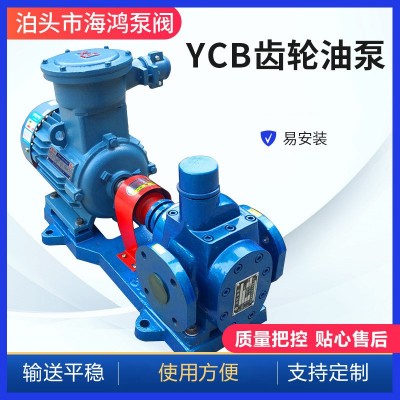 YCB圆弧齿轮泵 厂家供应ycb10化工圆弧齿轮泵 卧式铸铁齿轮泵图5