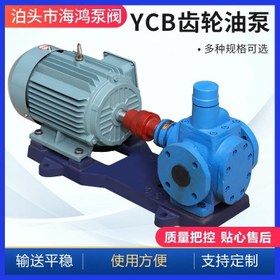 YCB圆弧齿轮泵 厂家供应ycb10化工圆弧齿轮泵 卧式铸铁齿轮泵图4