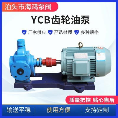 YCB圆弧齿轮泵 厂家供应ycb10化工圆弧齿轮泵 卧式铸铁齿轮泵图2