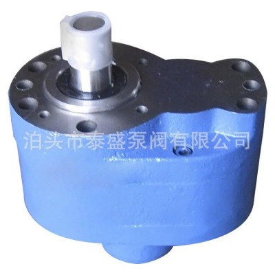 大批量供应CB-B25微型齿轮泵 齿轮油泵 电动齿轮油泵现货批发图3