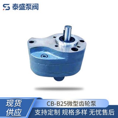 厂家供应齿轮泵 2CY不锈钢齿轮泵 DN50可调式齿轮泵 现货批发图4