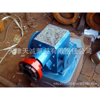 GZB系列高真空齿轮泵（可以定制不锈钢，铜轮等)/人字泵/图5