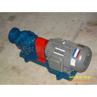 GZB系列高真空齿轮泵/不锈钢齿轮泵/船用泵/复合轮泵/多轮泵