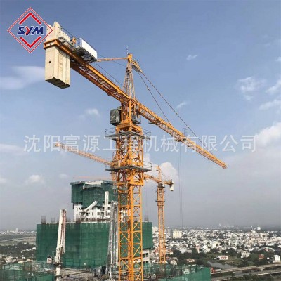 工程机械塔吊 6010塔式起重机生产厂家 建筑施工 港口 水库施工图3