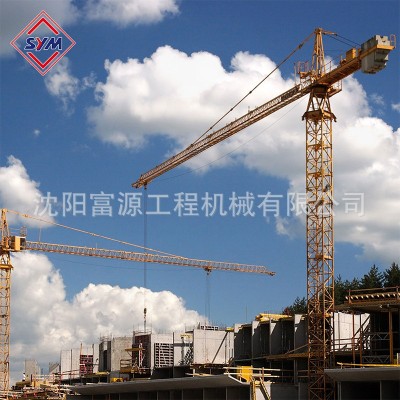 工程机械塔吊 6010塔式起重机生产厂家 建筑施工 港口 水库施工图4