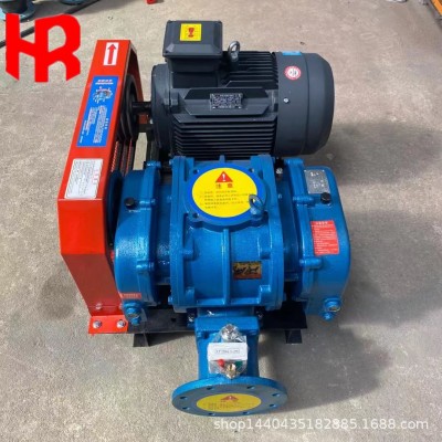 供应海南污水处理曝气罗茨鼓风机 SR125L型 22KW罗茨增氧机增氧泵图4
