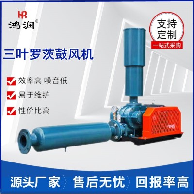 HSR175型15KW罗茨鼓风机 水产养殖增氧泵 辽宁兴城三叶罗茨风机图4