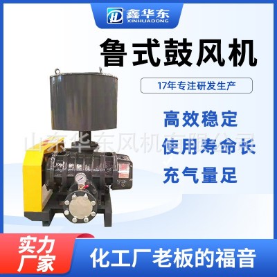 华东风机 LTV150负压龙铁罗茨鼓风机 燃料气罗茨鼓风机图2