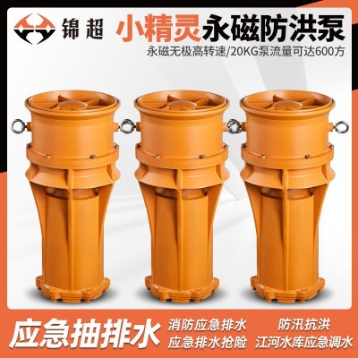 永磁无极高转速防洪泵 反流式叶轮防洪泵 铸铁材质电动排涝水泵图4