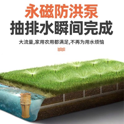 永磁无极高转速防洪泵 反流式叶轮防洪泵 铸铁材质电动排涝水泵图5