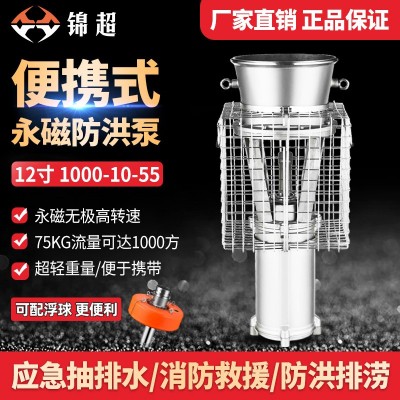 锦超永磁防洪泵55KW大流量高扬程防洪排涝泵便携式轴流潜水泵12寸图3