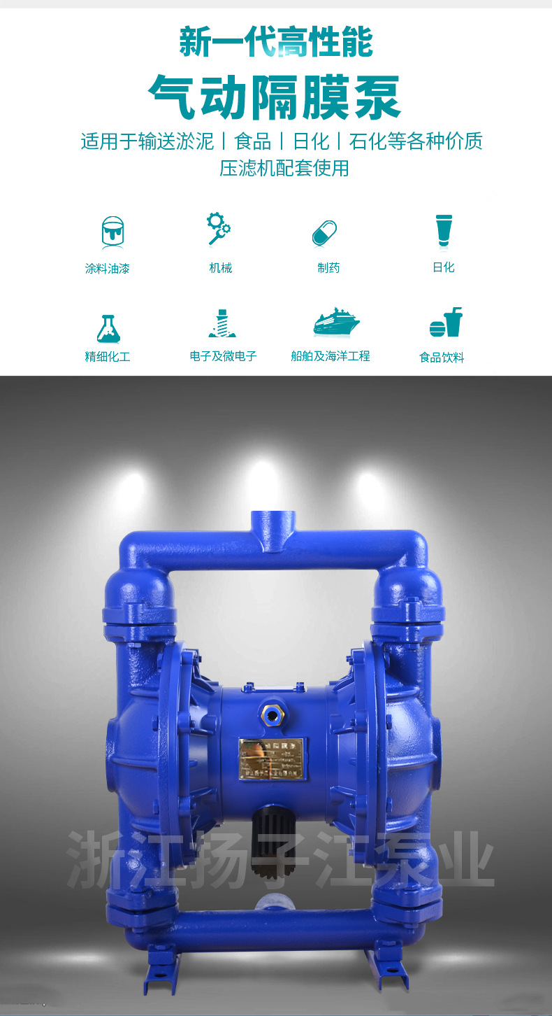 隔膜泵（铸铁）_05.jpg