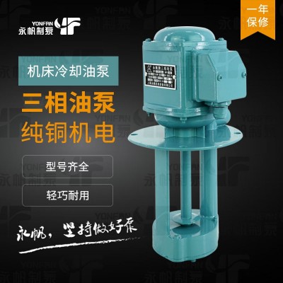 DB机床冷却泵AB三相电泵JCB永帆肥花油循环冷却水泵 机床泵图2
