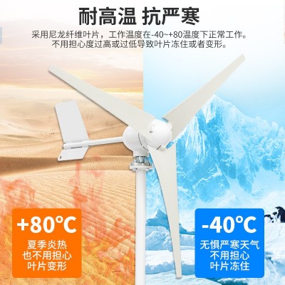 F型300W400W小型风力发电机风光互补用家用船用房车用景观用路灯图3