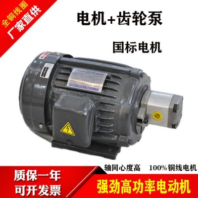 液压电机油泵组合0.75KW/1.5KW/2.2KW配VP20/30/40叶片泵 电动总成图3