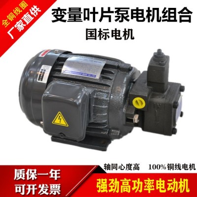 液压电机油泵组合0.75KW/1.5KW/2.2KW配VP20/30/40叶片泵 电动总成