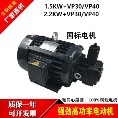 液压电机油泵组合0.75KW/1.5KW/2.2KW配VP20/30/40叶片泵 电动总成图2