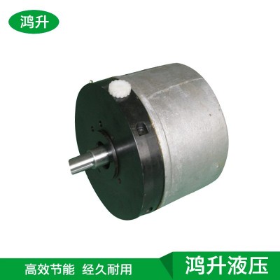 机床静压RK系列径向柱塞泵 微型柱塞泵 工程机械专用低噪音柱塞泵图4