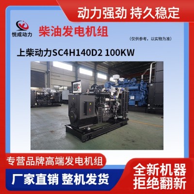 促销上柴动力25KW柴油发电机组 25千瓦小功率 柴油发电机厂家正品图5