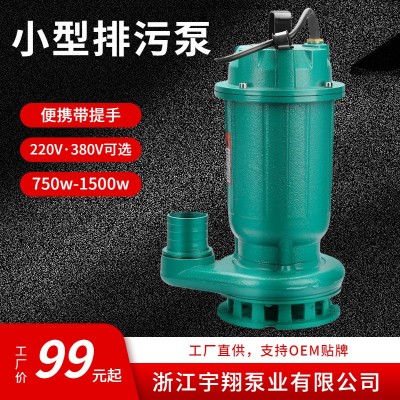 厂家批发小型潜水泵50WQD10-10-0.75手提式便携潜污泵 丝口污水泵图2