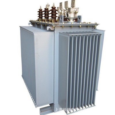 厂销 S11油浸式电力变压器S11-M-100KVA三相配电变压器10KV变400V图2